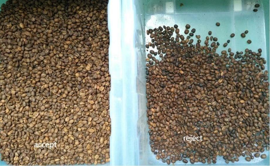 Wenyao 1 Chute 500kg/h High Output CCD Color Separator Καβουρδισμένοι κόφοι καφέ Color Sorting Machine Green Bean Color Sorter
