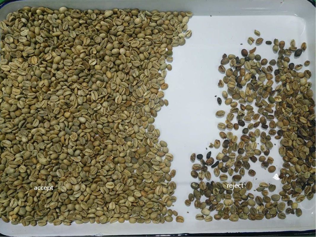 Wenyao 1 Chute 500kg/h High Output CCD Color Separator Καβουρδισμένοι κόφοι καφέ Color Sorting Machine Green Bean Color Sorter