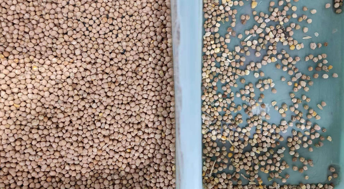 800kg/H διαλογέας χρώματος φασολιών με τη κάμερα υψηλής ανάλυσης CCD εικονοκυττάρου 5400