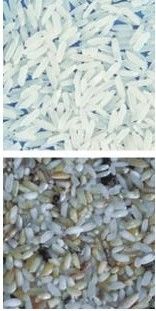 32 ταξινομώντας μηχανή χρώματος ρυζιού μηχανών διαλογέων χρώματος ρυζιού Channnels μίνι που χρησιμοποιείται ευρέως στην αγορά της Ινδονησίας