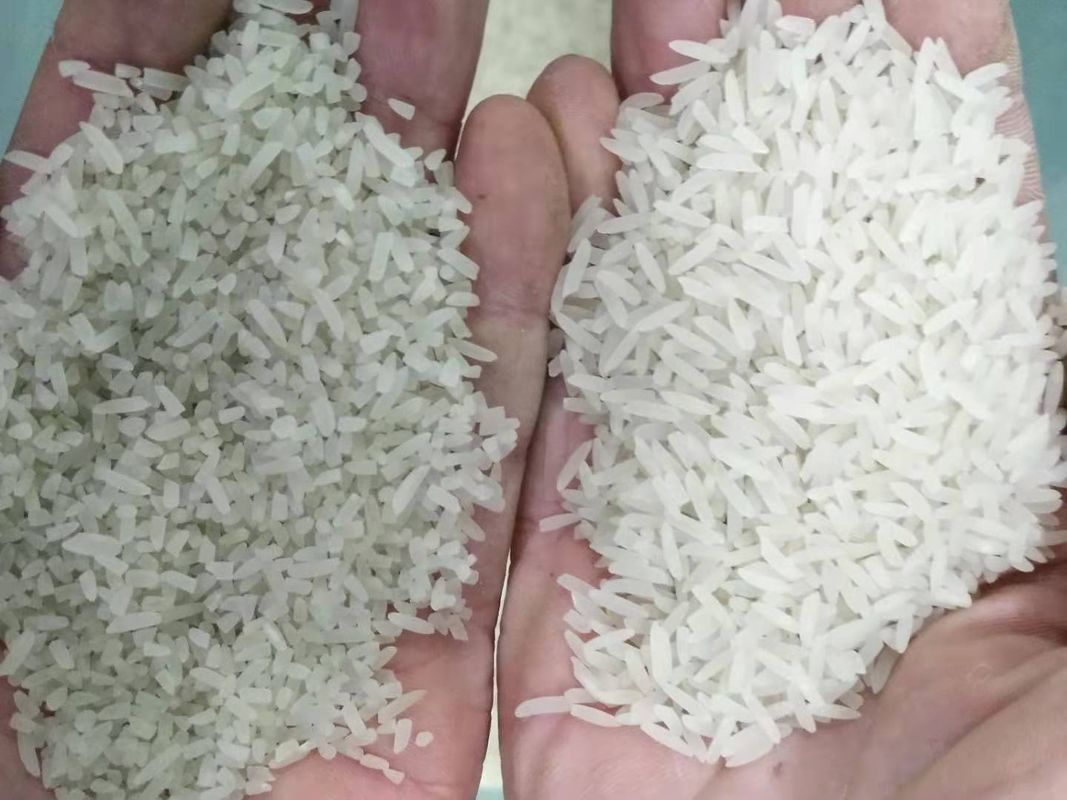 32 ταξινομώντας μηχανή χρώματος ρυζιού μηχανών διαλογέων χρώματος ρυζιού Channnels μίνι που χρησιμοποιείται ευρέως στην αγορά της Ινδονησίας