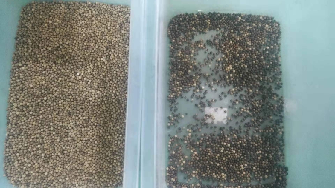 Quinoa καλαμποκιού διαλογέας πολλών χρήσεων αυτόματο Ccd χρώματος ρυζιού σουσαμιού σίτου οπτικό