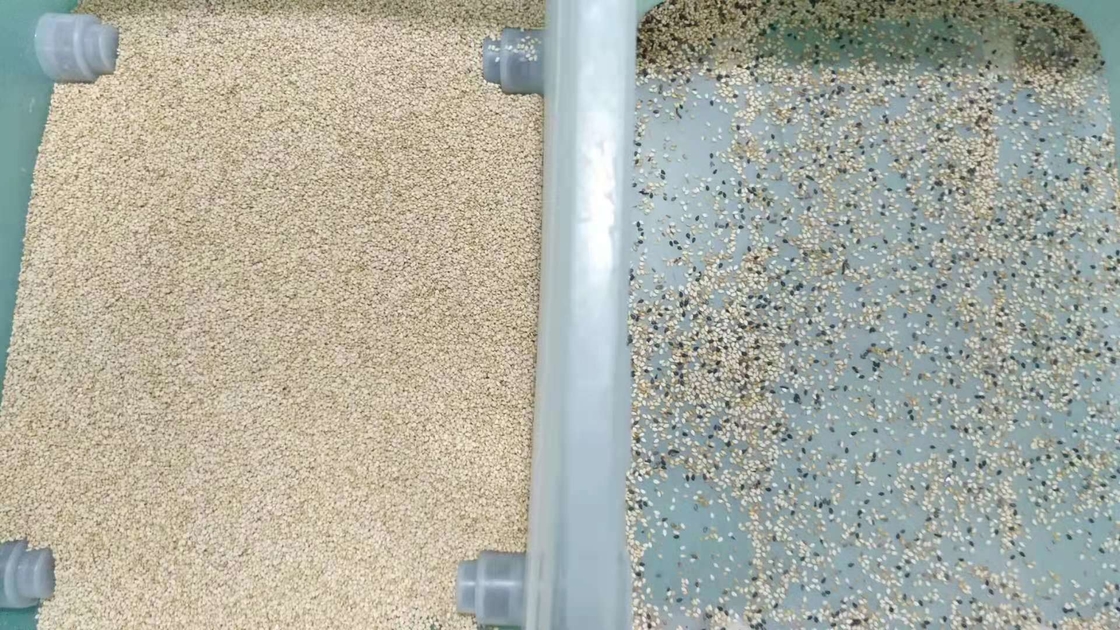 Quinoa καλαμποκιού διαλογέας πολλών χρήσεων αυτόματο Ccd χρώματος ρυζιού σουσαμιού σίτου οπτικό