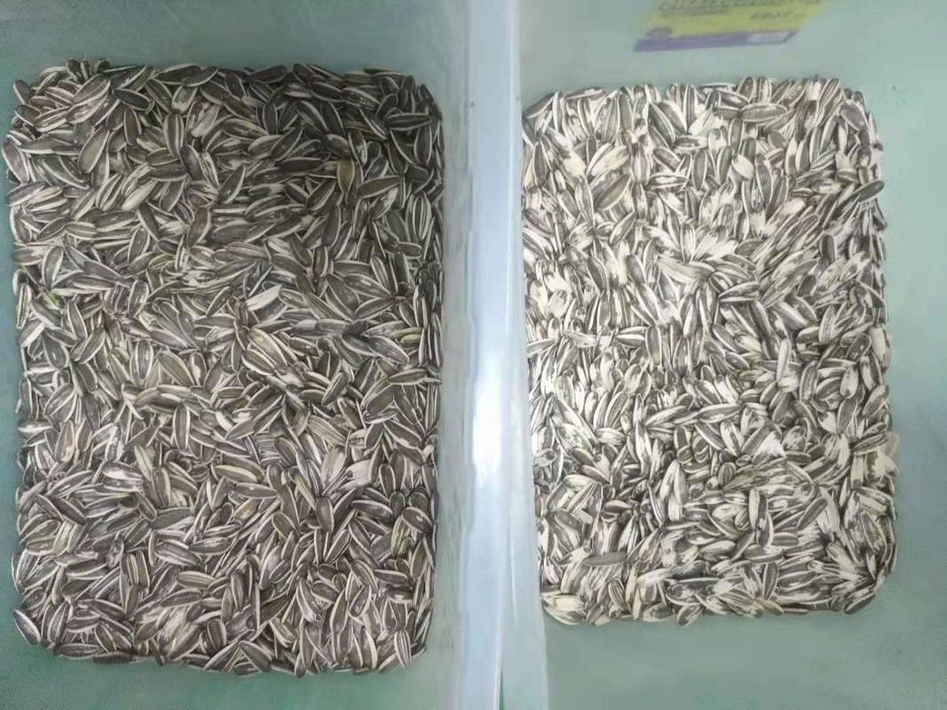 Quinoa καλαμποκιού διαλογέας πολλών χρήσεων αυτόματο Ccd χρώματος ρυζιού σουσαμιού σίτου οπτικό