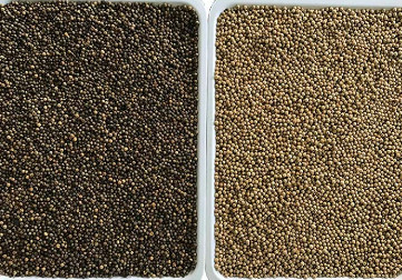 Quinoa καλαμποκιού διαλογέας πολλών χρήσεων αυτόματο Ccd χρώματος ρυζιού σουσαμιού σίτου οπτικό