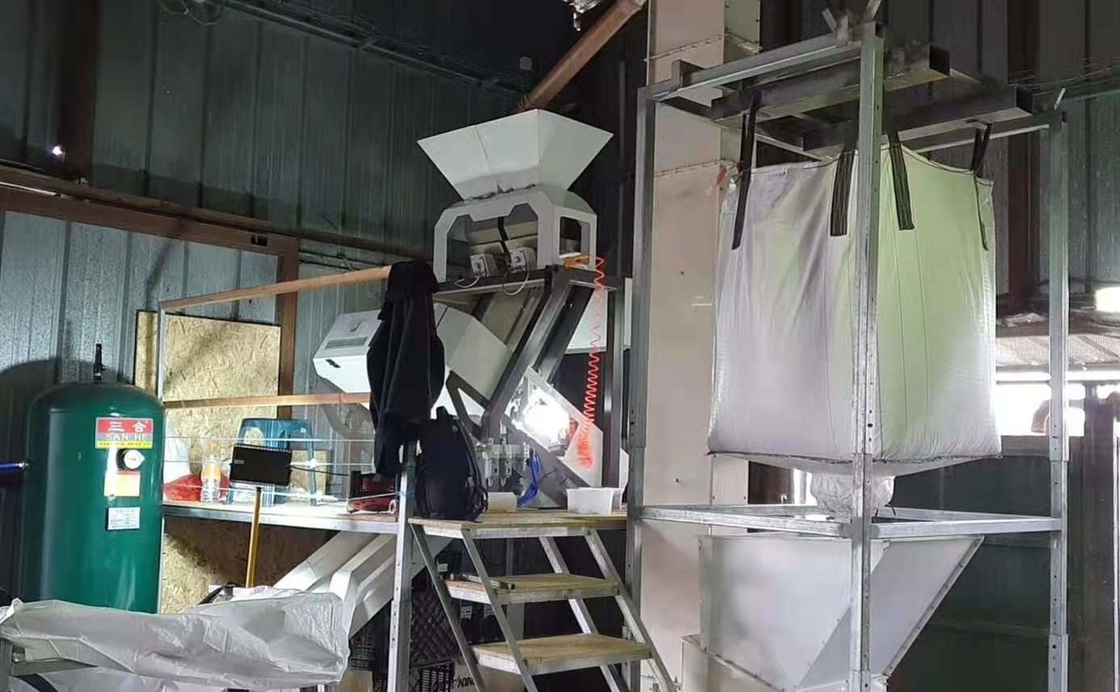 Macadamia ταξινομώντας μηχανή 1 χρώματος σιταριού φασολιών σπόρων καρυδιών υδατοπτώσεις 64 κανάλια