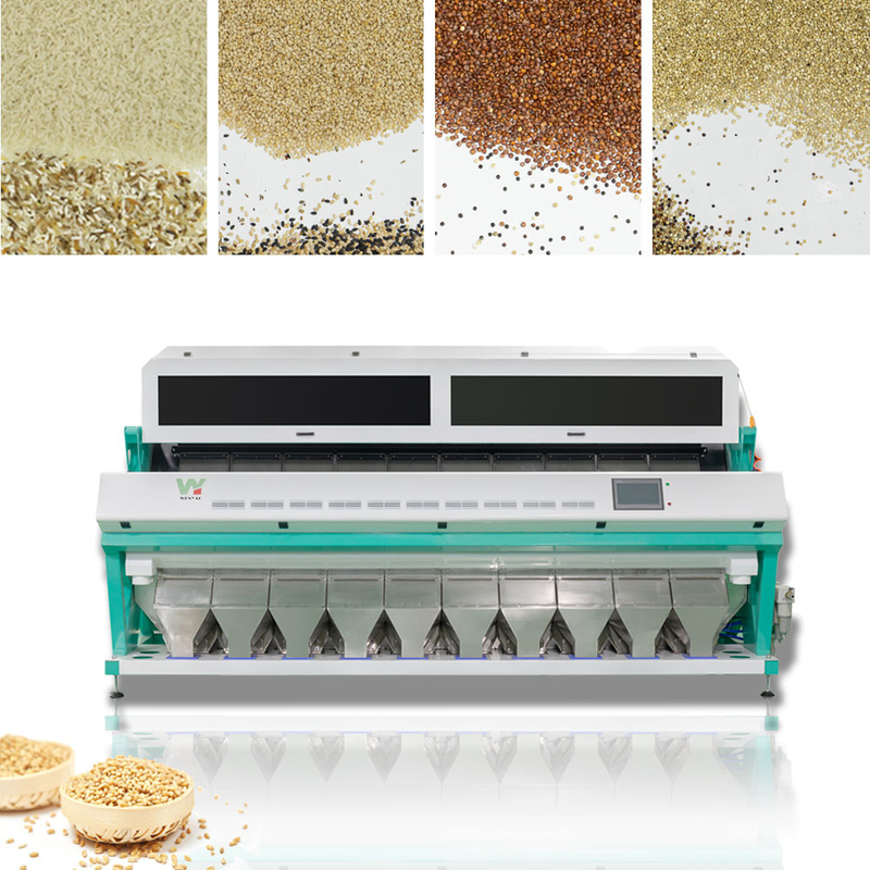 Μόνος Quinoa σίτισης ευφυής διαλογέας 10t/h χρώματος σίτου