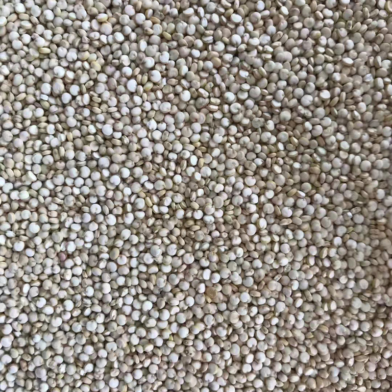 Μόνος Quinoa σίτισης ευφυής διαλογέας 10t/h χρώματος σίτου