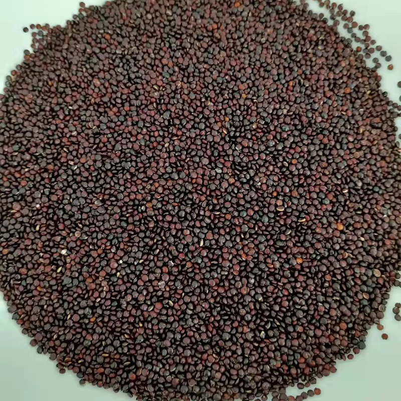 Μόνος Quinoa σίτισης ευφυής διαλογέας 10t/h χρώματος σίτου