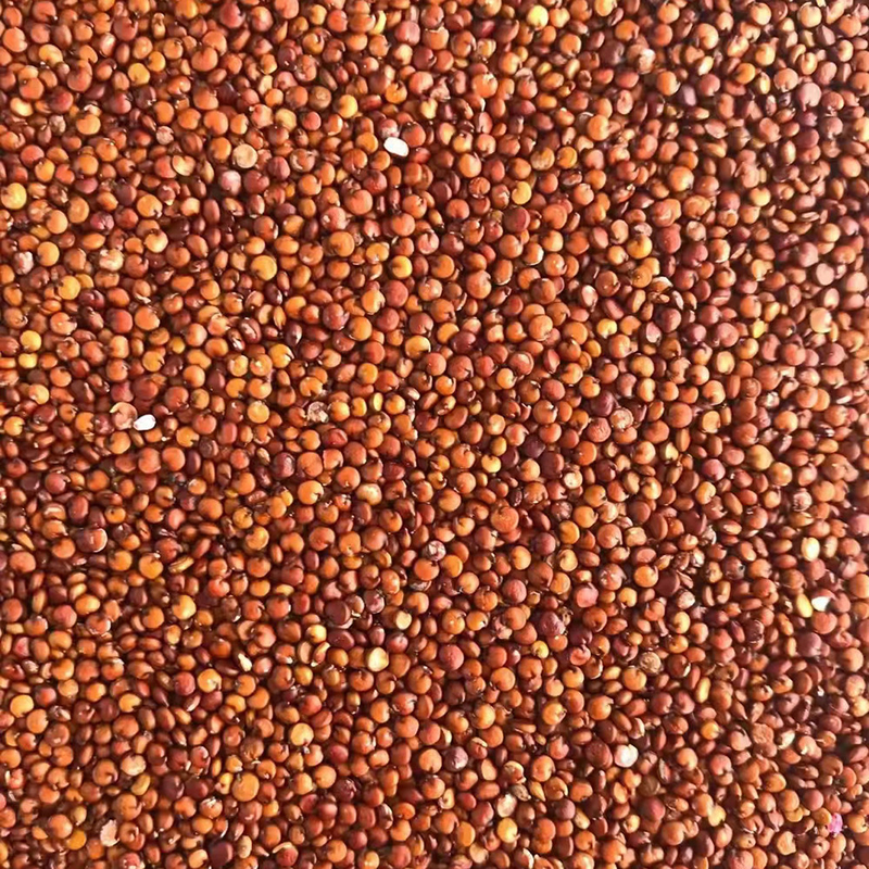 Μόνος Quinoa σίτισης ευφυής διαλογέας 10t/h χρώματος σίτου