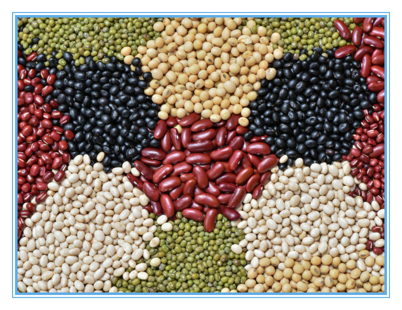 Διαλογέας χρώματος σιταριού για Quinoa φασολιών σπόρων σουσαμιού την ταξινομώντας μηχανή χρώματος ρυζιού