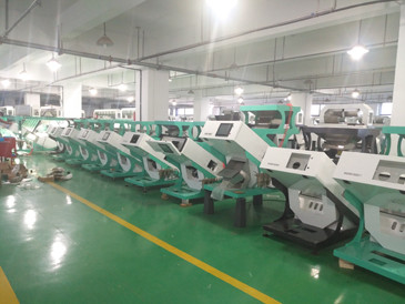 320 καναλιών 2-6T/H ρυθμοαπόδοσης CCD ταξινομώντας μηχανή σίτου καμερών οπτική