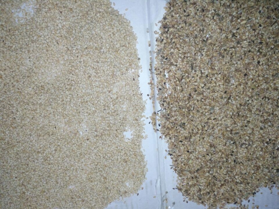 Quinoa καρπουζιών διαλογέων χρώματος σπόρου ηλίανθων σουσαμιού της Κίνας χαμηλής τιμής μηχανή διαλογέων χρώματος σπόρου