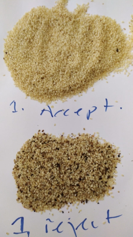 Quinoa καρπουζιών διαλογέων χρώματος σπόρου ηλίανθων σουσαμιού της Κίνας χαμηλής τιμής μηχανή διαλογέων χρώματος σπόρου