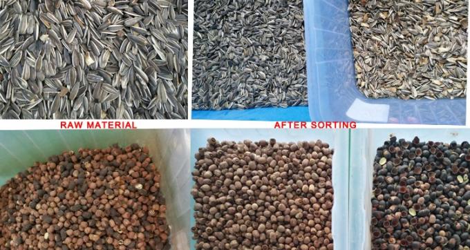 Μηχανή διαλογής χρωμάτων 220V / 50Hz Wenyao για καφέ φασόλι κεράσι 5