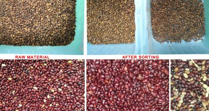 Μηχανή διαλογής χρωμάτων 220V / 50Hz Wenyao για καφέ φασόλι κεράσι 6