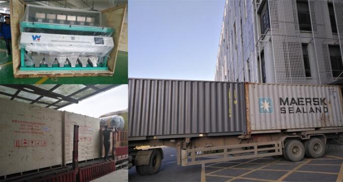 Μηχανή διαλογής χρωμάτων 220V / 50Hz Wenyao για καφέ φασόλι κεράσι 25