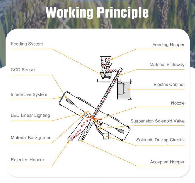 Wenyao Οπτική Μικροχρωματική Τροποποιητής Χρώματος Σπόρων Ηλίανθου Χρώμα Τροποποιητής/Τροποποιητική Μηχανή Χρώμα Τροποποιητής Χρώματος Σπόρων Ηλίανθου Χρώμα Τροποποιητής 7