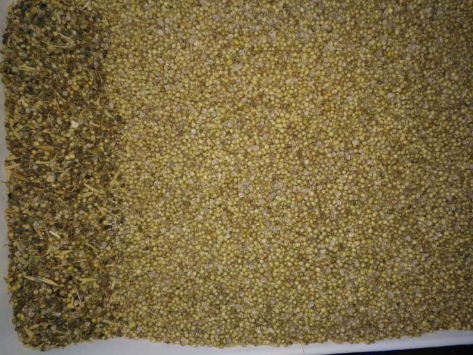 Μικρό οπτικό σπόρους διαλογή χρώματος με καλή απόδοση σπόρους καθαρισμού μηχανή 3