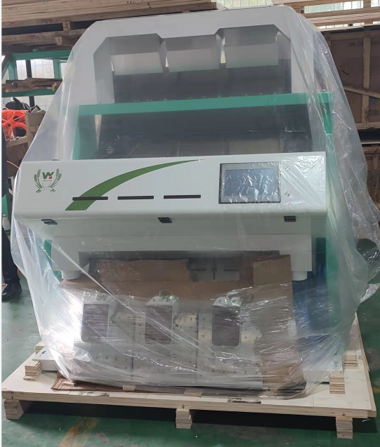 WENYAO 5 Chutes Broad Bean Color Sorter για βιομηχανική χρήση 24