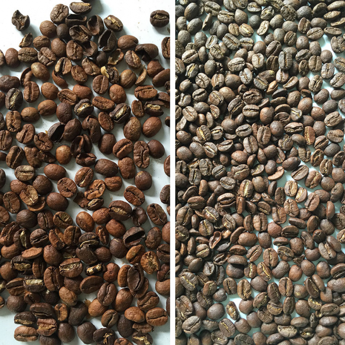 Κίνα Προσαρμοσμένη ασφάλεια τροφίμων οπτική συσκευή διαλογής χρωμάτων CCD μηχανή διαλογής χρωμάτων για κόκκους καφέ 4