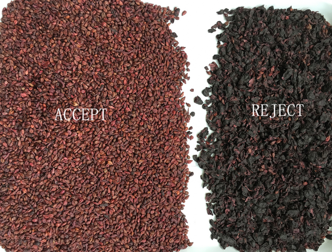 320 κανάλια Οπτική CCD Χρωματική Τροποποιητής Μηχανή Τροποποίησης Χρώματος σταφίδας με πιστοποίηση CE 2