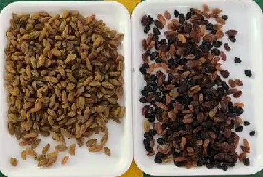 320 κανάλια Οπτική CCD Χρωματική Τροποποιητής Μηχανή Τροποποίησης Χρώματος σταφίδας με πιστοποίηση CE 3