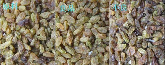 320 κανάλια Οπτική CCD Χρωματική Τροποποιητής Μηχανή Τροποποίησης Χρώματος σταφίδας με πιστοποίηση CE 4