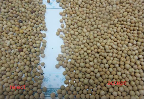 Τεχνική συσκευή διαχωρισμού χρωμάτων CCD Camera Grain Rice Soybean Color Sorter για τη γεωργία 4