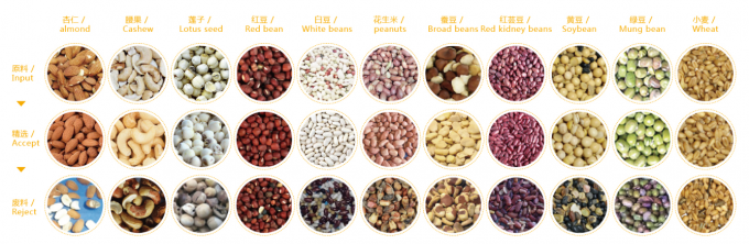 2025 Ζεστή πώληση Factory Price CCD Color Nut Sorter Συσκευή διαχωρισμού καρύδων Μακαδάμια με CE 2