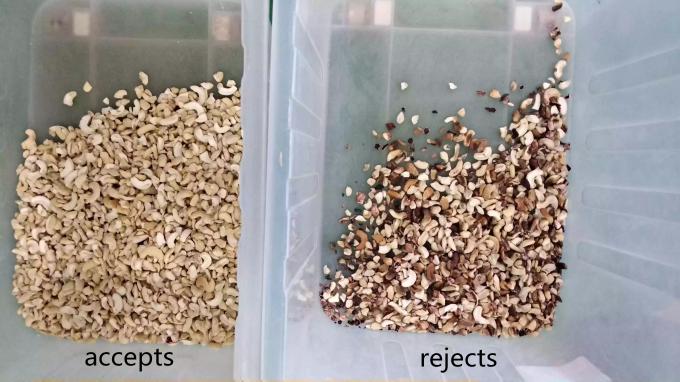 Ευφυής μηχανή διαλογής χρώματος καρύδας 6 Chute με αισθητήρα Toshiba CCD και κάμερα RGB 6