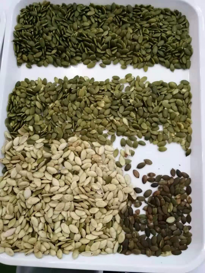 Wenyao Νέο οπτικό πιστοποιητικό CE Σπόροι κολοκύθας Σπόροι καρπούζι Σπόροι χρώματος μηχανή διαλογής 11