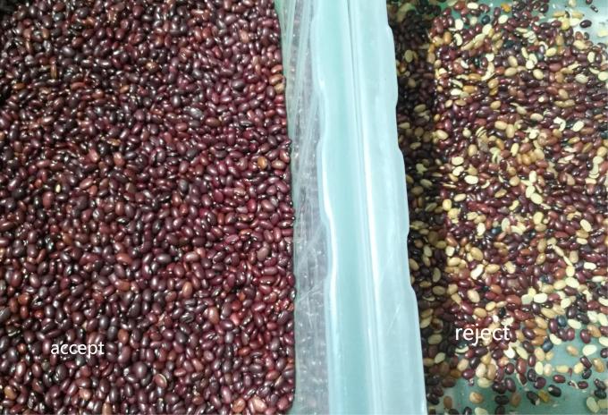 Υψηλής ακρίβειας έξυπνη συσκευή διαλογής χρωμάτων νεφρών κόκκινο φασόλι 10