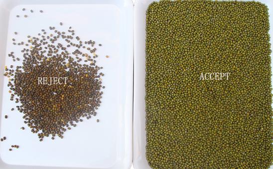 Wenyao έξυπνη εργοστάσιο απευθείας πώληση νεφρού φασόλια φιστίκια φιστίκια τσιγάρα χρώμα ταξινόμηση μηχανή 12