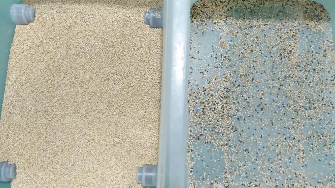 Κινέζικο εργοστάσιο Wenyao 7 Στυλ Chute Υψηλής τεχνολογίας μηχανή ταξινόμησης χρώματος σιτηρών σουσάμι 4