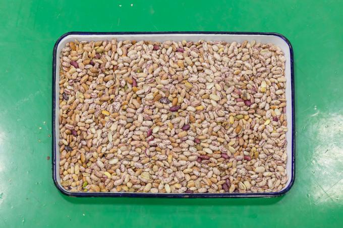 Wenyao Νέο τηλεχειριστήριο έξυπνο κόκκινο κόκκινο κόκκινο κόκκινο κόκκινο κόκκινο κόκκινο 4