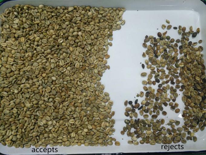 Μηχάνημα διαλογής υψηλής απόδοσης Wenyao Optical για φασόλια νεφρού και φασόλια Βραζιλίας 6