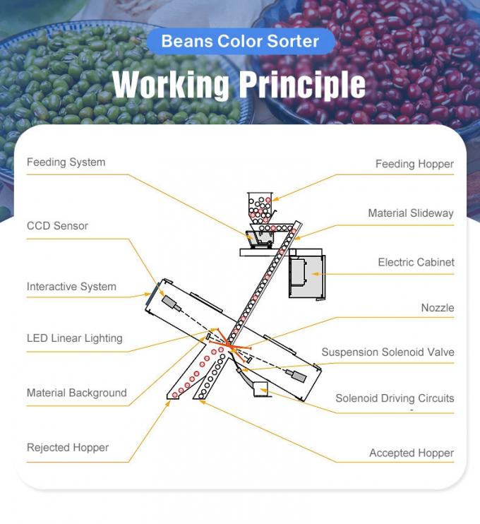 Wenyao Κινέζικη εργοστασιακή τιμή πλήρως αυτόματη κόκκινη φασόλια νεφρό φασόλια χρώμα μηχανή διαλογής 3