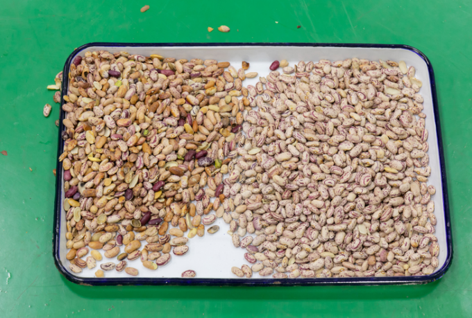 Wenyao Πλήρως Αυτόματη Μηχανή Διαλογής Χρωμάτων 3 Σωλήνων για Φασόλια Σόγιας, Φαρδιά Φασόλια, Φασόλια Kidney 5