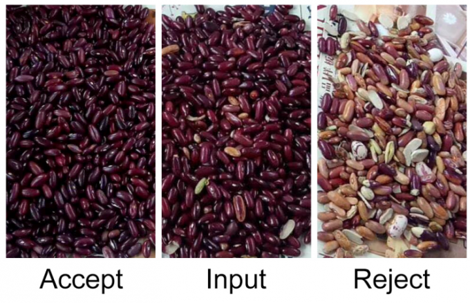 Υψηλής ακρίβειας έξυπνη συσκευή διαλογής χρωμάτων νεφρών κόκκινο φασόλι 9