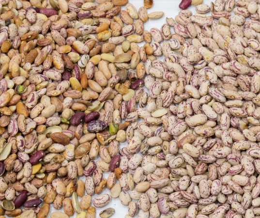 Υψηλής ακρίβειας έξυπνη συσκευή διαλογής χρωμάτων νεφρών κόκκινο φασόλι 11