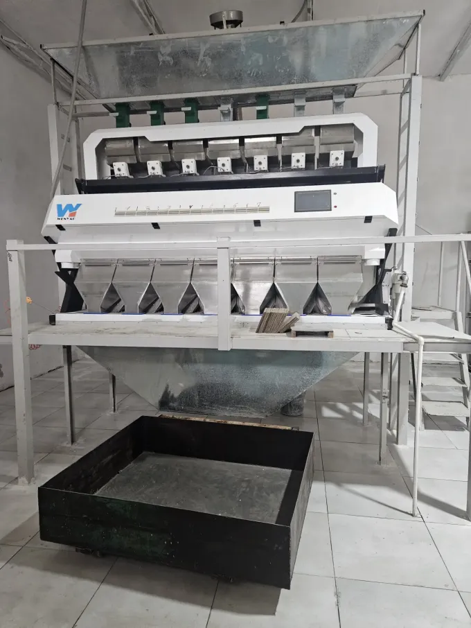 Αυτόματη και Αποτελεσματική Μηχανή Διαλογής Χρωμάτων Πλαστικών Φολίδων και Πλαστικών Κοκκίων PET PVC Wenyao 5