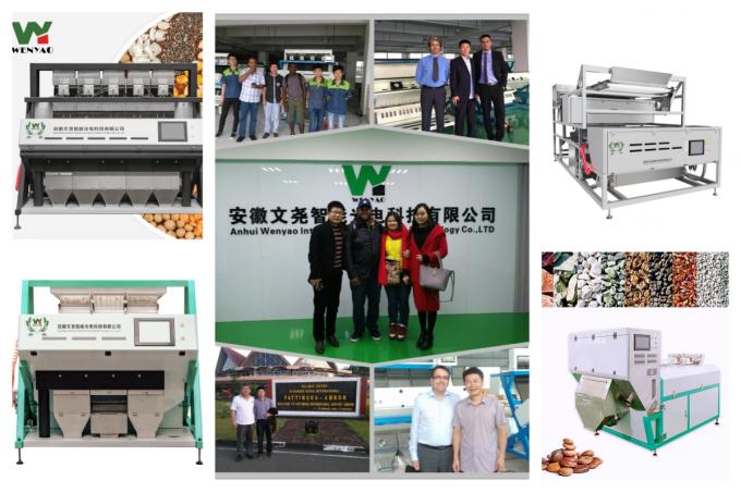 Διαχωριστής χρώματος κόκκων ροδάκινου υψηλής ακρίβειας 2 καναλιών, μηχανή διαλογής χρώματος αραβικού λιβανιού 18