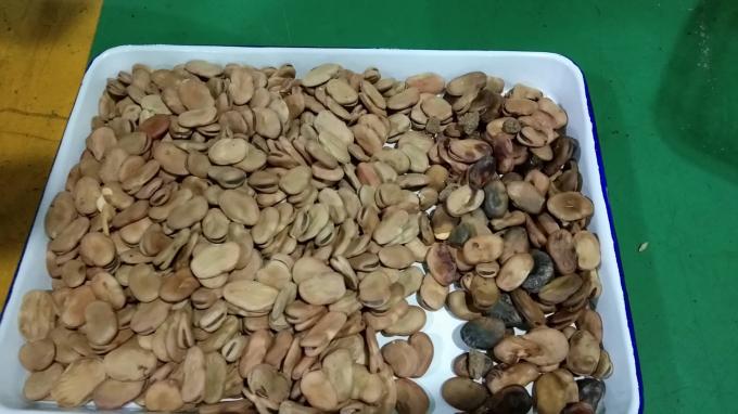 Μηχάνημα διαλογής υψηλής απόδοσης Wenyao Optical για φασόλια νεφρού και φασόλια Βραζιλίας 5