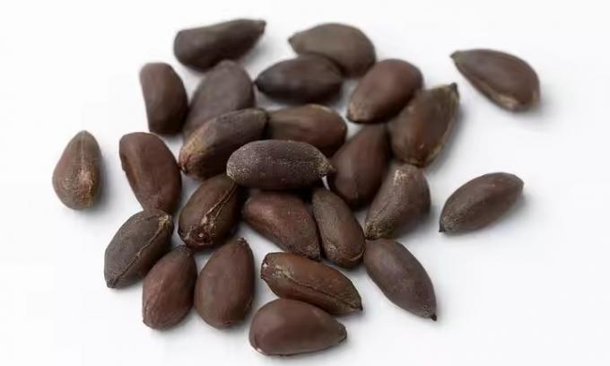 Wenyao &Epsilon;&pi;&alpha;&gamma;&gamma;&epsilon;&lambda;&mu;&alpha;&tau;&iota;&kappa;ή &Omicron;&pi;&tau;&iota;&kappa;ή &Sigma;&upsilon;&nu;&alpha;&rho;&mu;&omicron;&lambda;&omicron;&gamma;&eta;&tau;ή&sigmaf; &Chi;&rho;ώ&mu;&alpha;&tau;&omicron;&sigmaf; &Sigma;&epsilon;&zeta;ά&mu;&iota; &Alpha;&gamma;&rho;&iota;ό&chi;&omicron;&rho;&tau;&omicron; &Sigma;&pi;ό&rho;&omicron;&iota; &Beta;&alpha;&mu;&beta;&alpha;&kappa;&iota;&omicron;ύ &Sigma;&upsilon;&nu;&alpha;&rho;&mu;&omicron;&lambda;&omicron;&gamma;&eta;&tau;ή&sigmaf; &Chi;&rho;ώ&mu;&alpha;&tau;&omicron;&sigmaf; &Sigma;&upsilon;&nu;&alpha;&rho;&mu;&omicron;&lambda;&omicron;&gamma;&eta;&tau;ή&sigmaf; 11