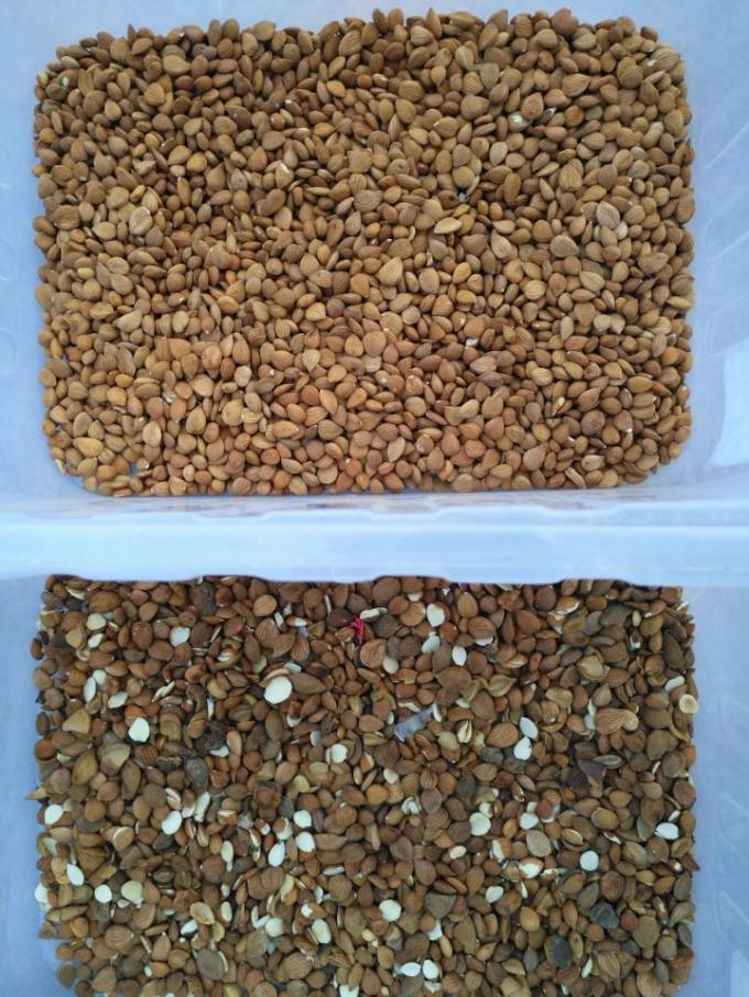 &Mu;&eta;&chi;ά&nu;&eta;&mu;&alpha; &Alpha;&upsilon;&tau;ό&mu;&alpha;&tau;&eta;&sigmaf; &Delta;&iota;&alpha;&lambda;&omicron;&gamma;ή&sigmaf; &Chi;&rho;ώ&mu;&alpha;&tau;&omicron;&sigmaf; &Mu;&alpha;&kappa;&alpha;&nu;&tau;ά&mu;&iota;&alpha; &mu;&epsilon; &Kappa;ά&mu;&epsilon;&rho;&alpha; CCD &Alpha;&kappa;&rho;ί&beta;&epsilon;&iota;&alpha;&sigmaf; 11