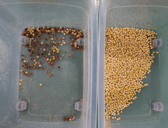 &Mu;&eta;&chi;ά&nu;&eta;&mu;&alpha; &Alpha;&upsilon;&tau;ό&mu;&alpha;&tau;&eta;&sigmaf; &Delta;&iota;&alpha;&lambda;&omicron;&gamma;ή&sigmaf; &Chi;&rho;ώ&mu;&alpha;&tau;&omicron;&sigmaf; &Mu;&alpha;&kappa;&alpha;&nu;&tau;ά&mu;&iota;&alpha; &mu;&epsilon; &Kappa;ά&mu;&epsilon;&rho;&alpha; CCD &Alpha;&kappa;&rho;ί&beta;&epsilon;&iota;&alpha;&sigmaf; 12