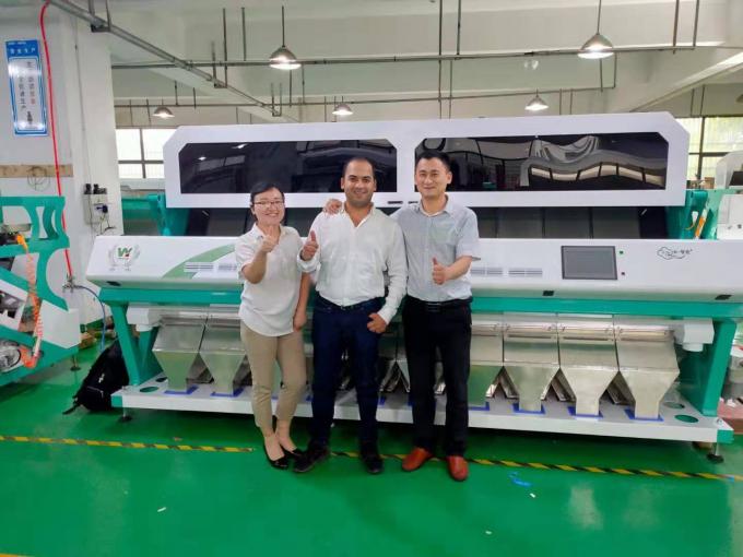 Large Output 304ss 316 Stainless Steel Intelligent Color Sorter Machine for Salt 14