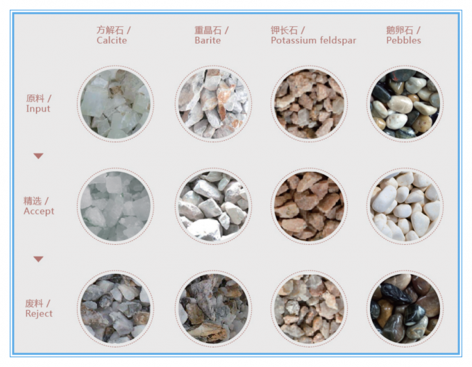 Μηχάνημα Διαλογής Χρώματος με Ιμάντα 1200MM για Σιτηρά Ορυκτών Ρυζιού με Ακρίβεια 99,99% 2