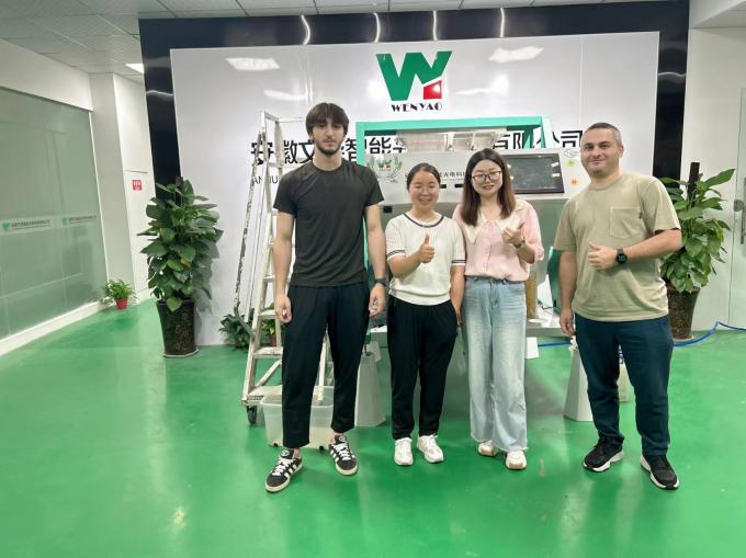 Μηχάνημα Διαλογής Χρώματος με Ιμάντα 1200MM για Σιτηρά Ορυκτών Ρυζιού με Ακρίβεια 99,99% 15